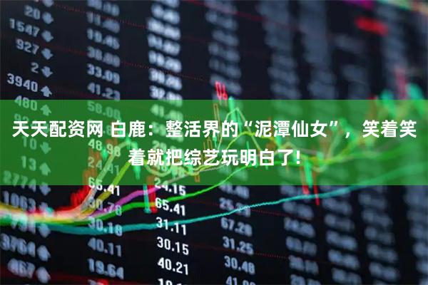 天天配资网 白鹿：整活界的“泥潭仙女”，笑着笑着就把综艺玩明白了!