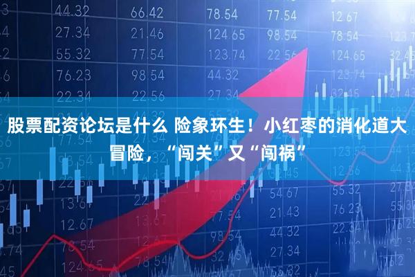 股票配资论坛是什么 险象环生！小红枣的消化道大冒险，“闯关”又“闯祸”