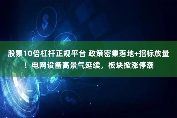 股票10倍杠杆正规平台 政策密集落地+招标放量!电网设备高景气延续,板块掀涨停潮